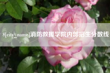 海拉尔消防救援学院内部招生分数线