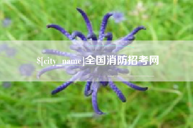 海拉尔全国消防招考网