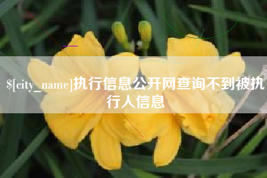 海拉尔执行信息公开网查询不到被执行人信息