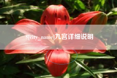 海拉尔九宫详细说明