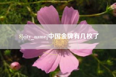 海拉尔中国金牌有几枚了