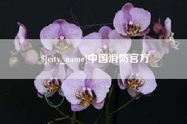 海拉尔中国消防官方