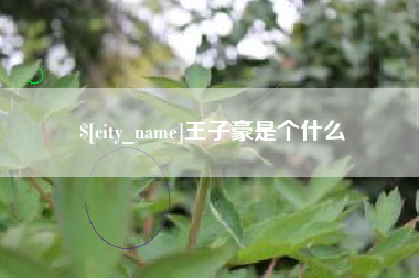 海拉尔王子豪是个什么