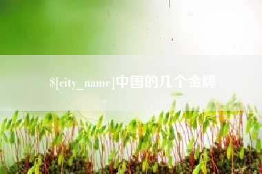 海拉尔中国的几个金牌