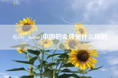 海拉尔中国的金牌是什么样的