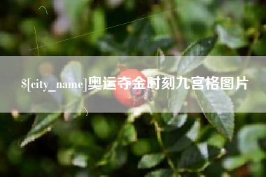 海拉尔奥运夺金时刻九宫格图片