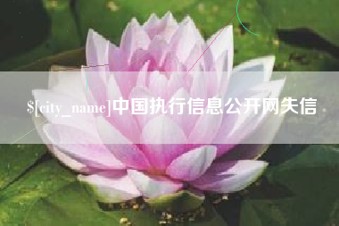 海拉尔中国执行信息公开网失信