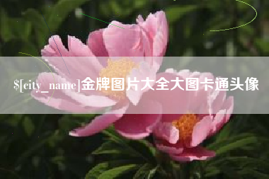 海拉尔金牌图片大全大图卡通头像