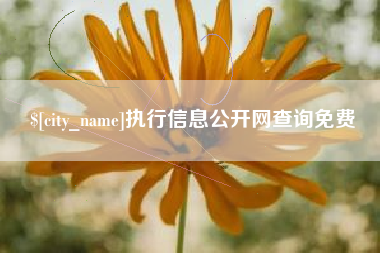 海拉尔执行信息公开网查询免费