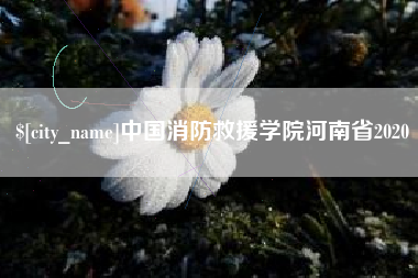 海拉尔中国消防救援学院河南省2020